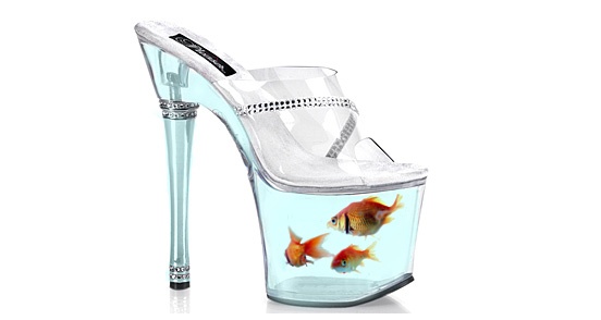 20 – Goldfish Shoe
