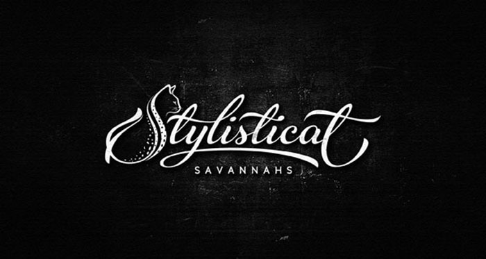 Stylish-Script-Logo-Design
