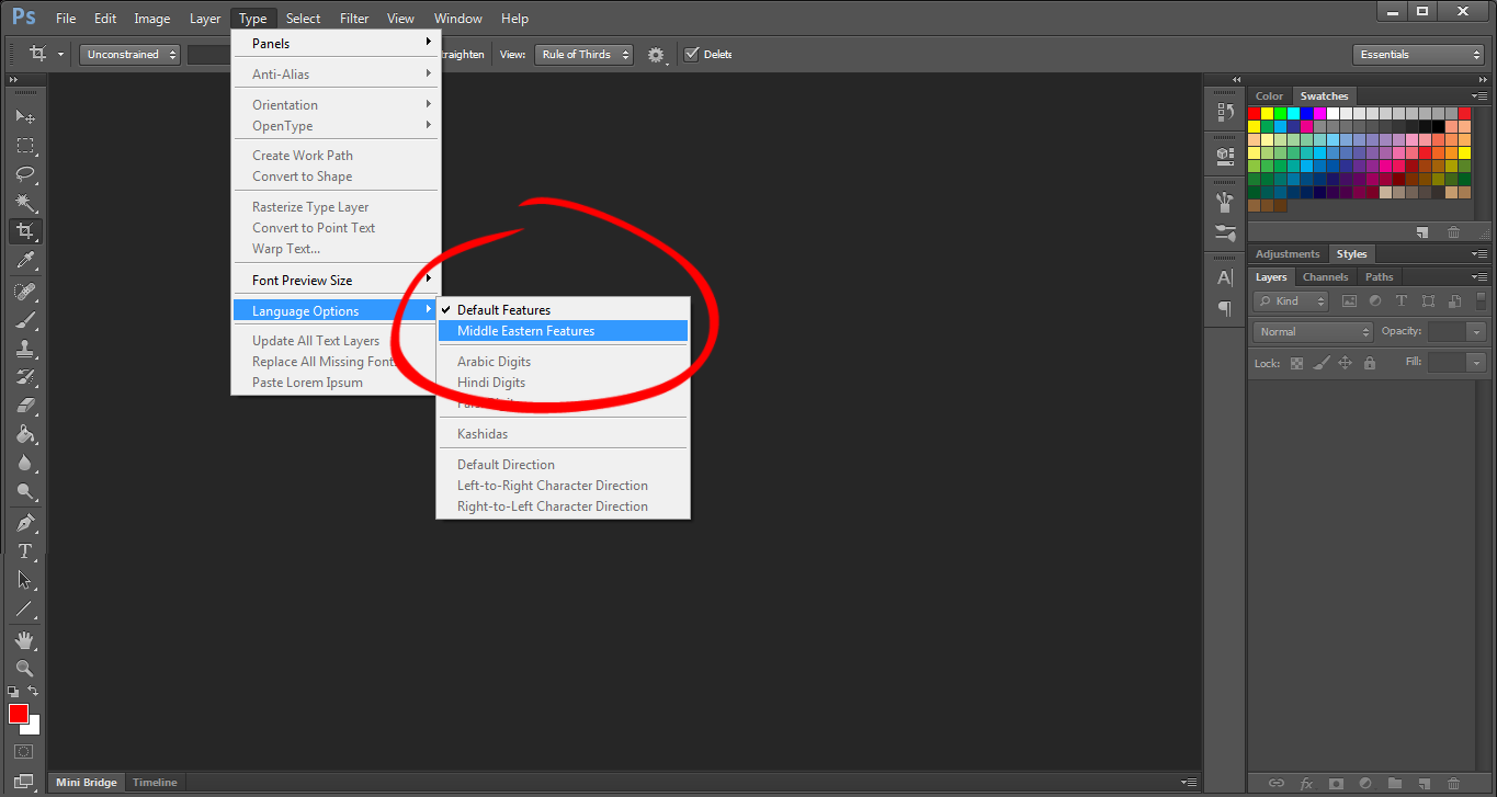 Selecting-Middle-Eastern-Features-in-Adobe-Photoshop-CS6
